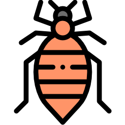 What Are Bed Bugs? Bed Bugs Defined